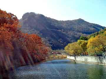 新澳天天开奖资料大全旅游团，铝板规格